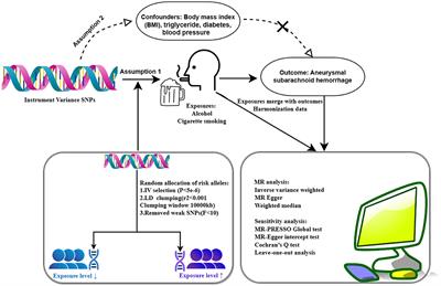 Exploring the causal links between cigarette smoking, alcohol consumption, and aneurysmal subarachnoid hemorrhage: a two-sample Mendelian randomization analysis